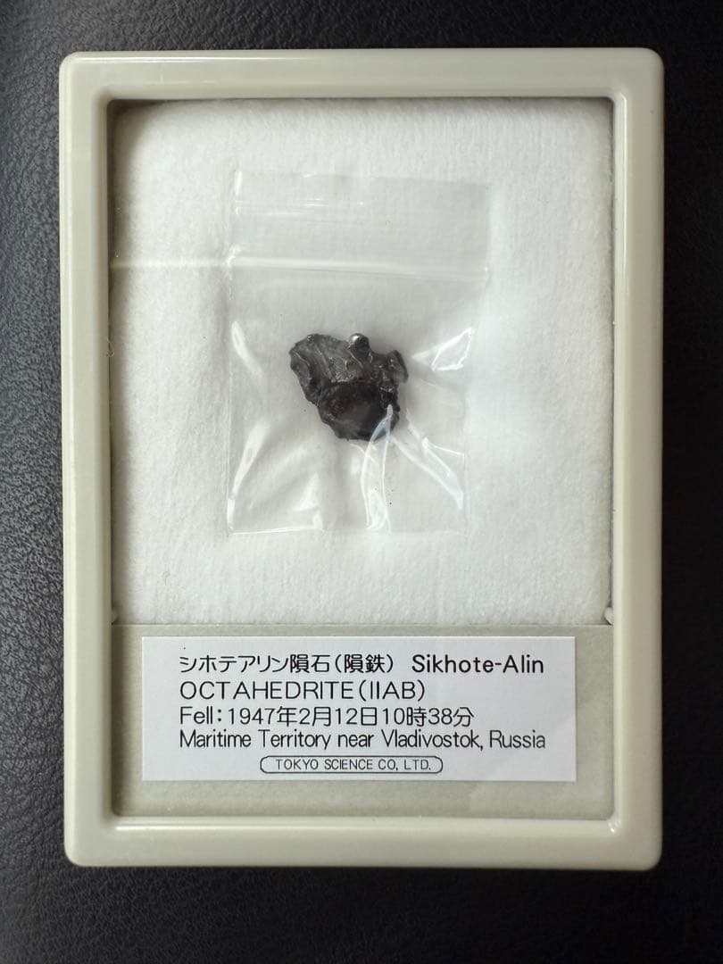 隕石　セット　標本　夏休み　自由研究