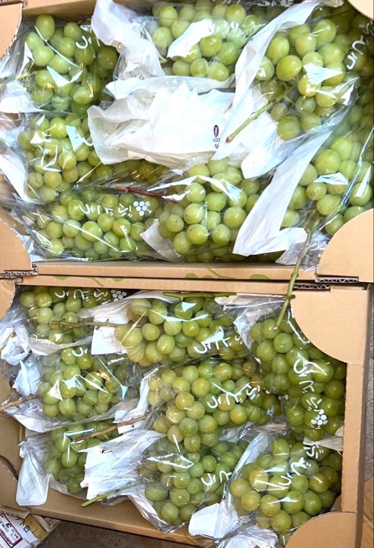 山形産 シャインマスカット 5キロ(6〜8房)