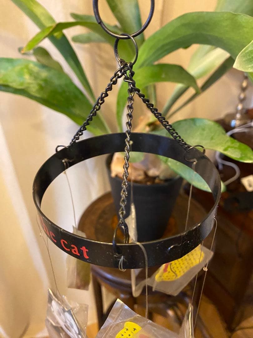 FELIX the Cat フィリックス ザ キャット モビール