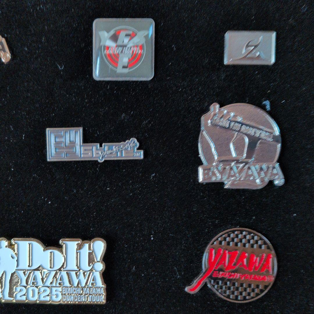 矢沢永吉さん　ピンバッチ１８個　ケ−ス入り 未使用に近い