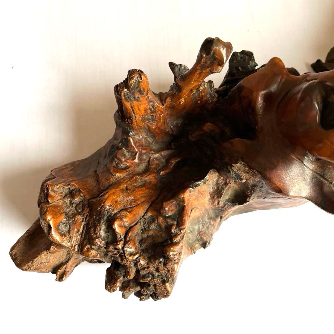 天然木　カエルの彫刻　流木　インテリア装飾　彫刻　美術品　骨董　幅60㎝　カエル