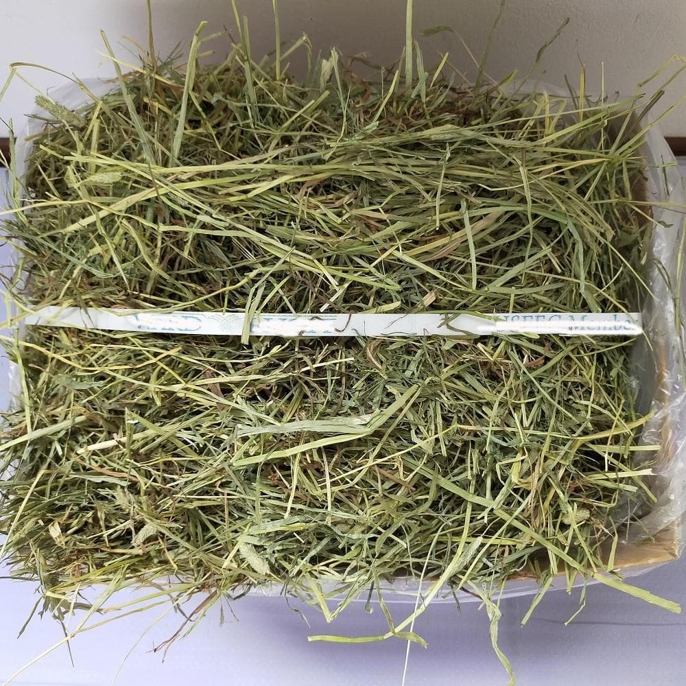 【お得な業販価格】US産 チモシー 2番刈り 300kg ソフトSプレミアム