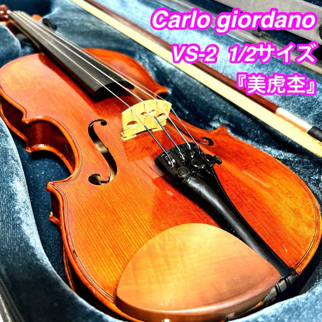 【美虎杢】Carlo giordano VS-2 1/2 バイオリン　弦楽器