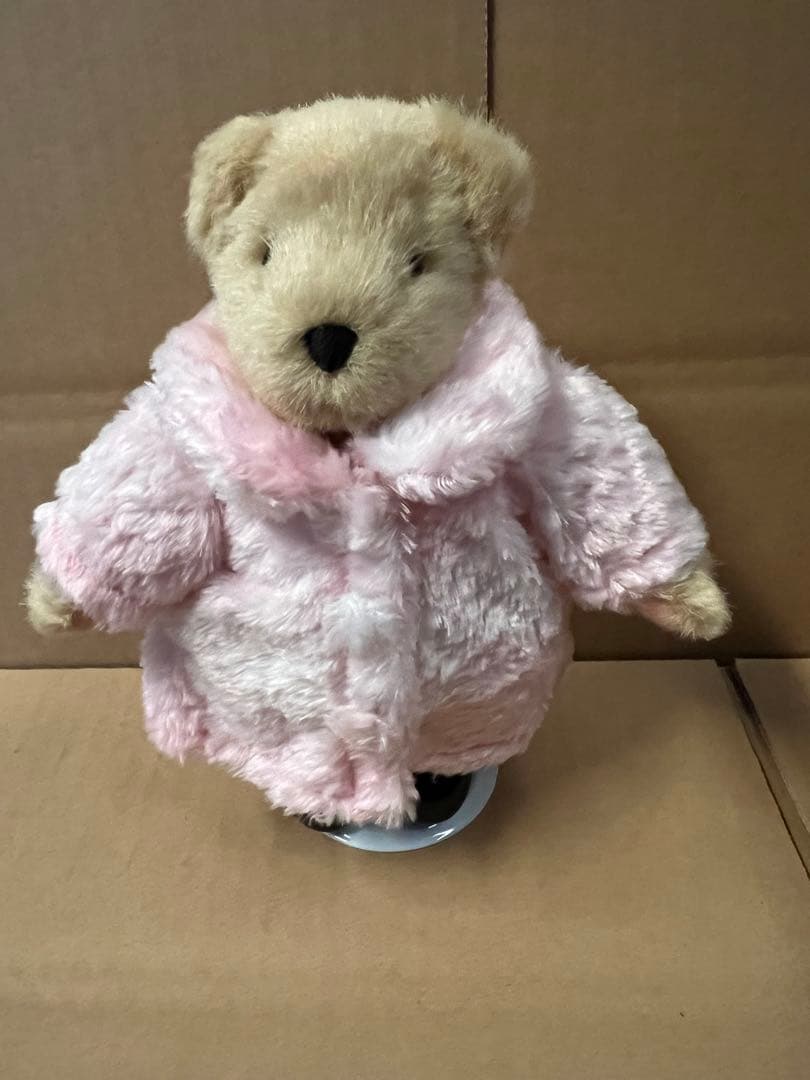 DEAR BEAR テディベアセット（衣装付き）