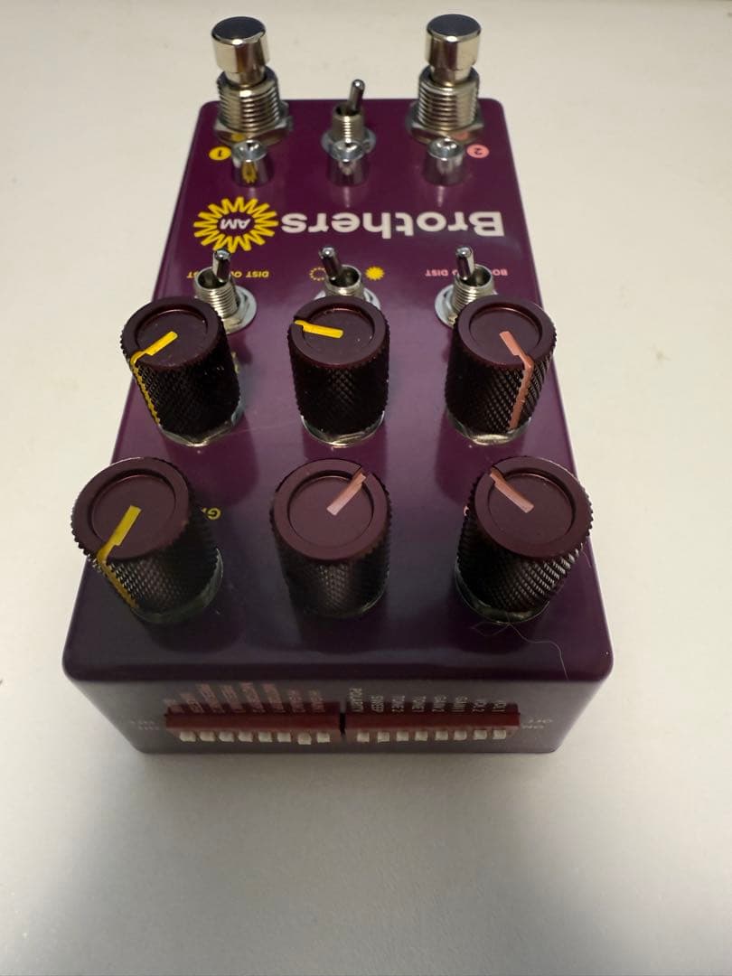 ギター Chase Bliss Audio BROTHERS AM