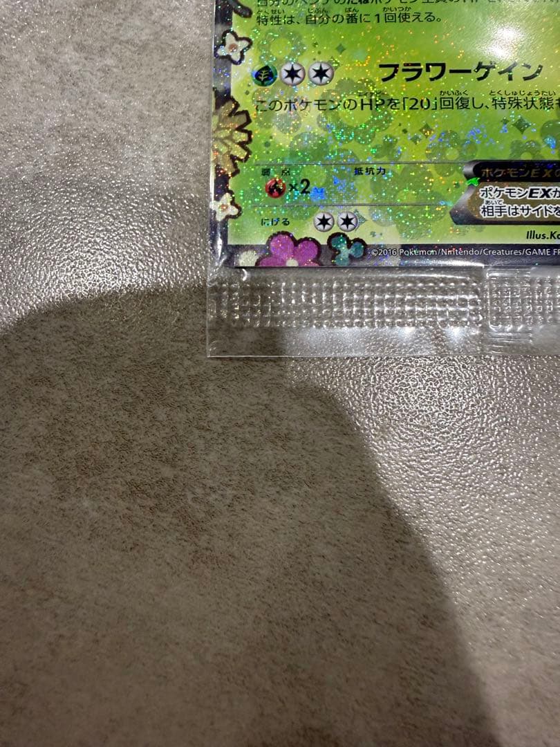 未開封　シェイミEX：プレミアムポケキュン♥セット PROMO 212/xy-p