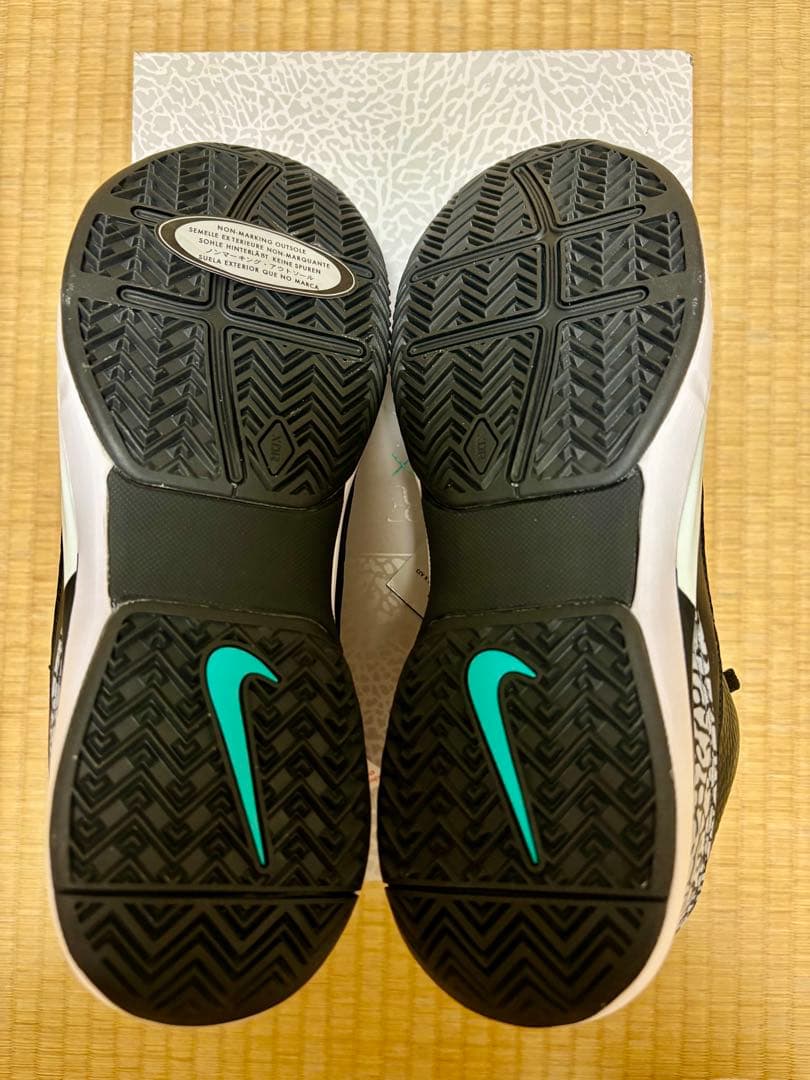 【フェデラー着用モデル】テニスシューズ 27cm