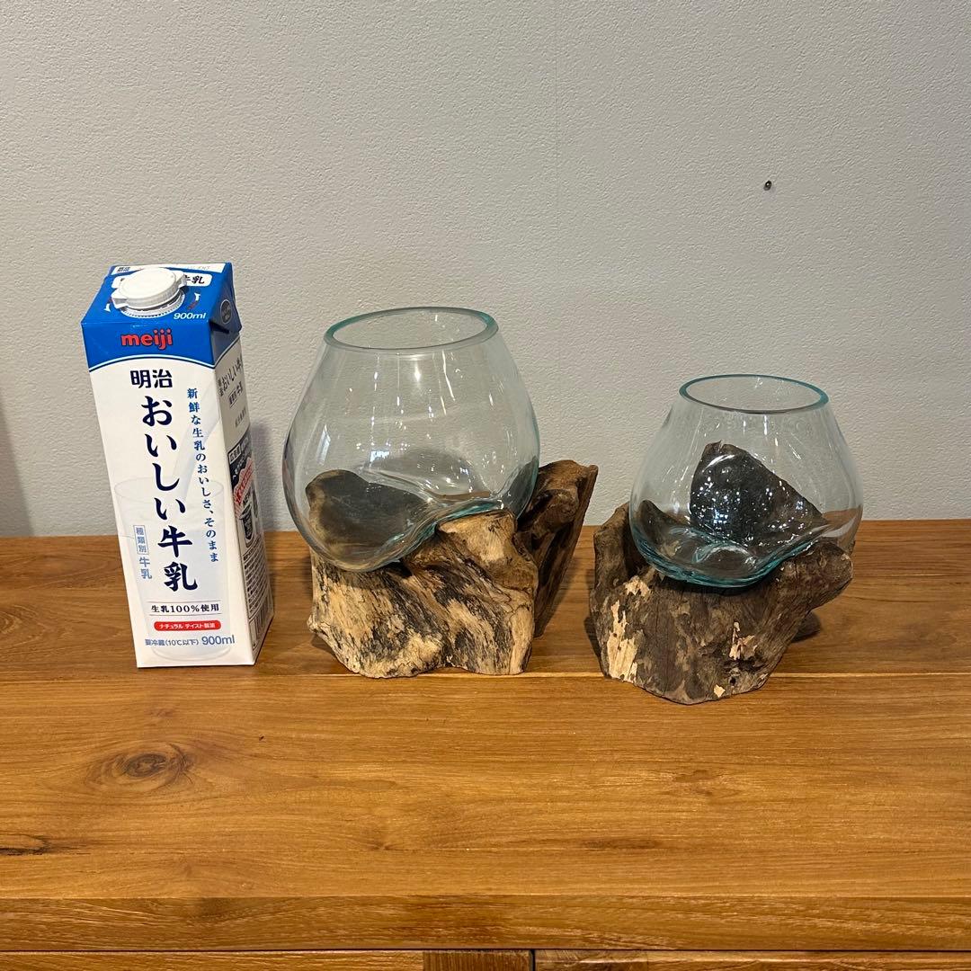 バリ島流木ガラス　w17×d14×h19cm 水槽　アクアリウムメダカ水槽801