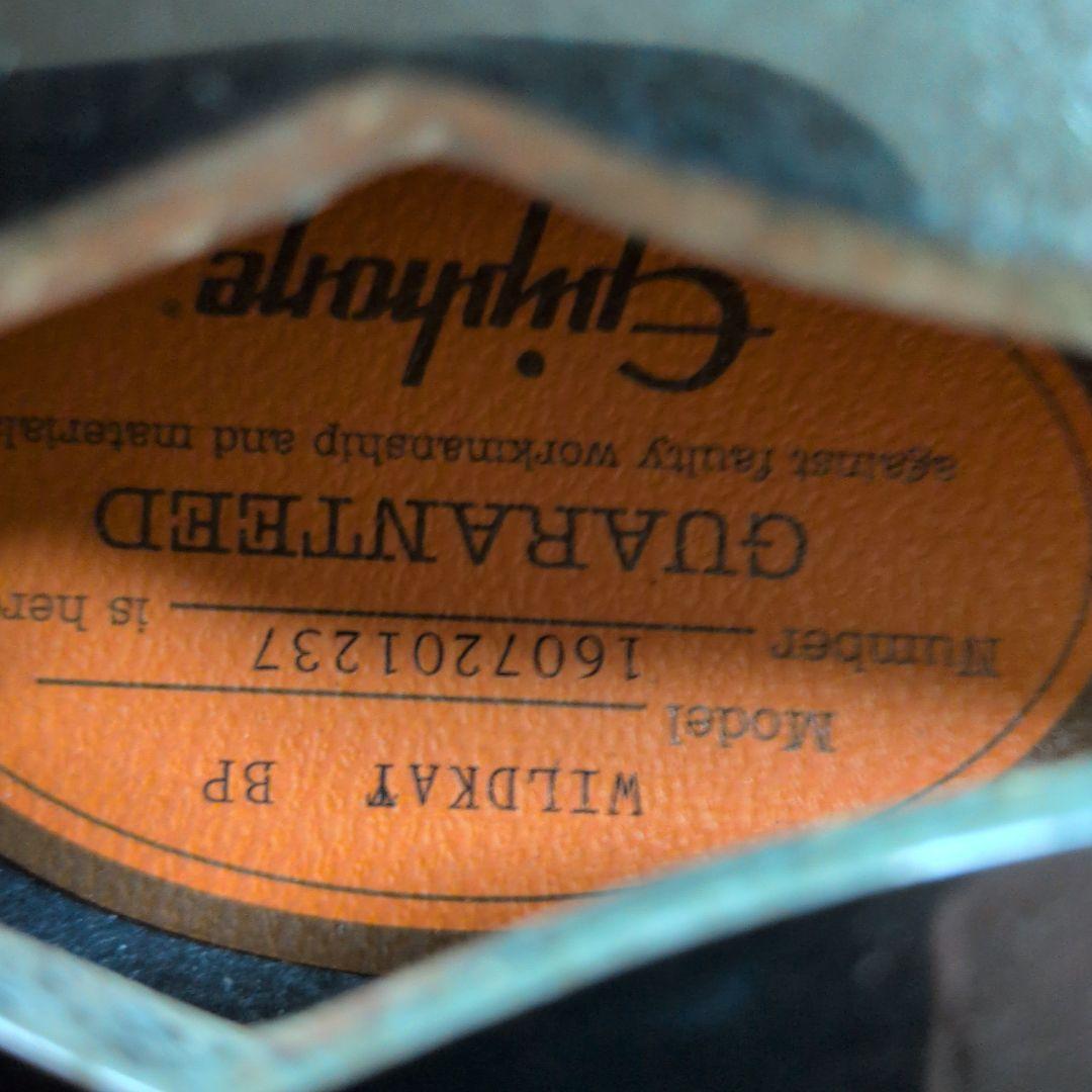 epiphone ltd wildkat エピフォン ワイルドキャット