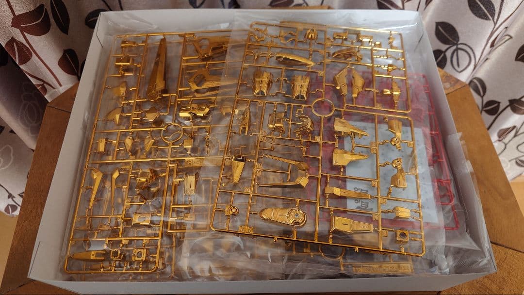 MG 百式 ライズカイン 1/100 プレミアムバンダイ 限定