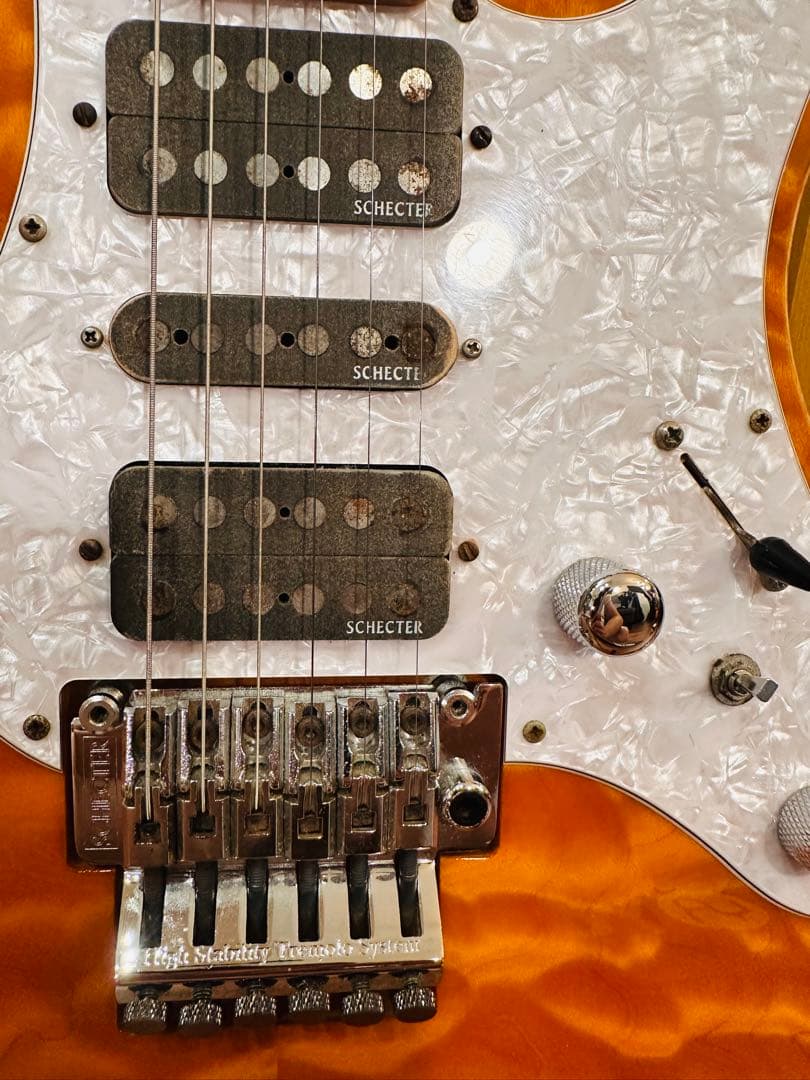 ギター Schector SD-2-24 ASH
