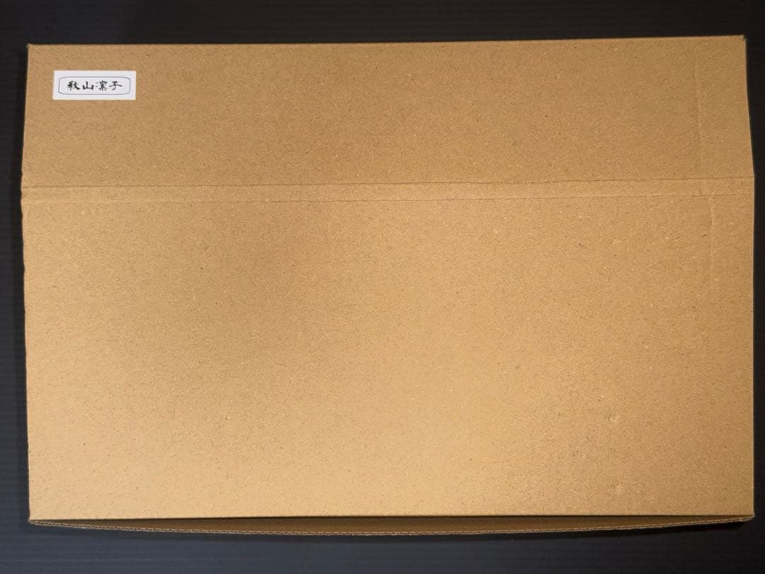 対魔忍 秋山凛子 ガレージキット ワンフェス