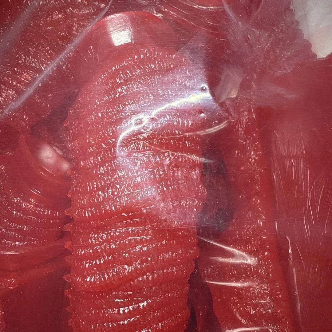 エクスプラス　シンゴジラ　レッドクリアVer.