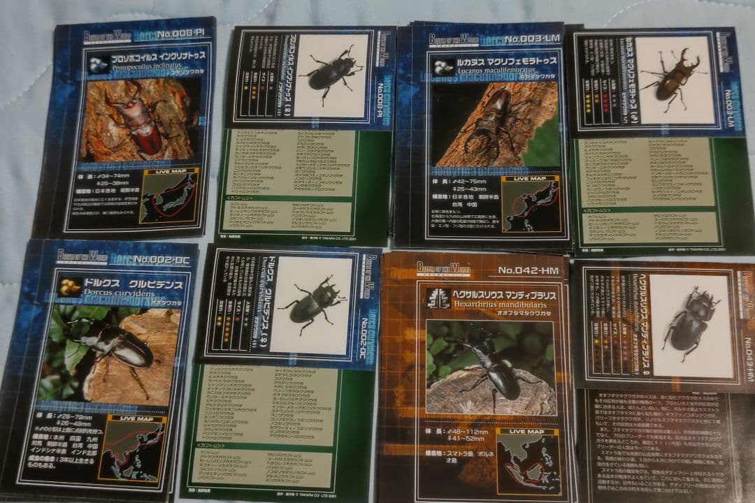 タカラ　世界の甲虫シリーズ　BEETLE OF THE WORLD