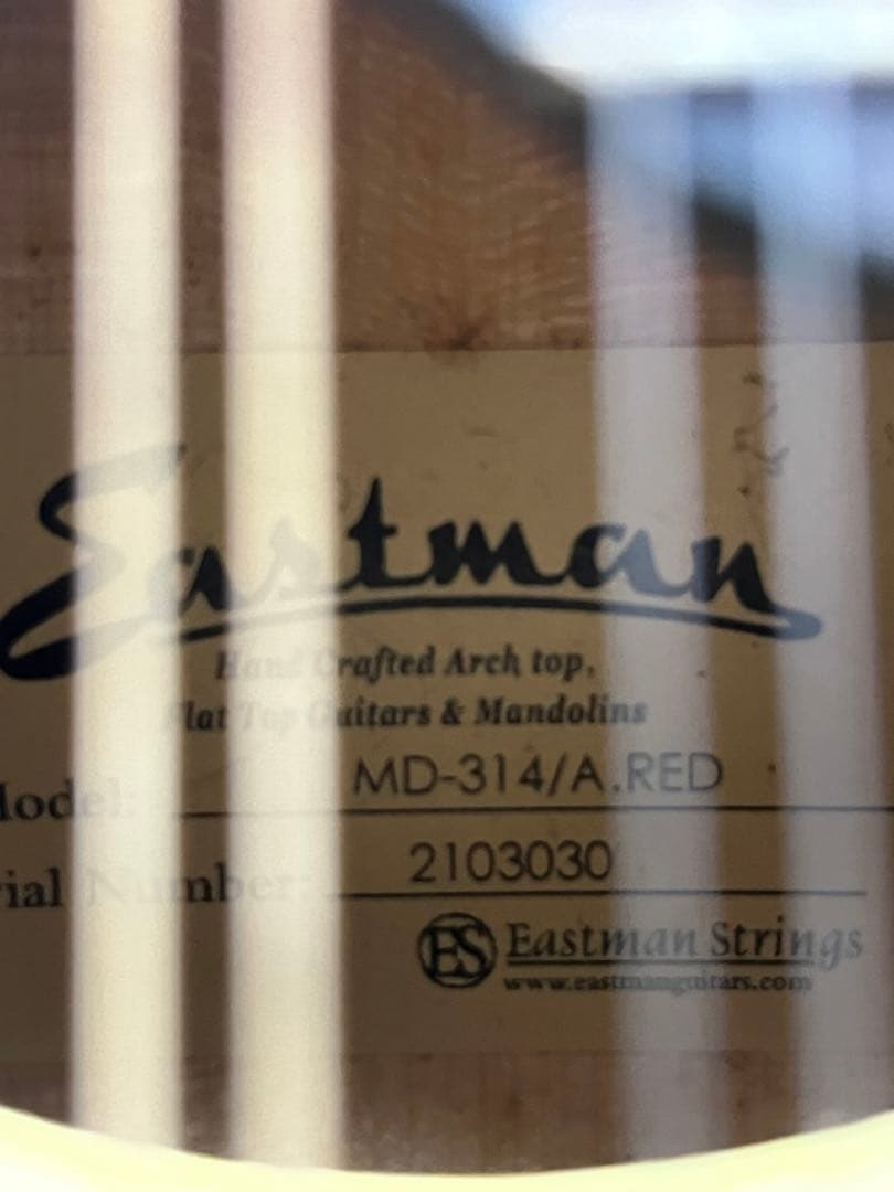 た*ん様 Eastman MD314 イーストマン フラットマンドリン