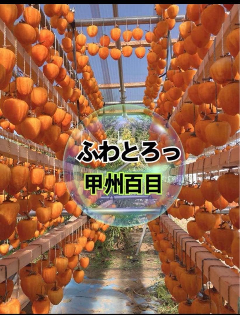 チュンメイ ★枯露柿 甲州百目柿贈答用　 3号箱　大9個入り✖️7箱