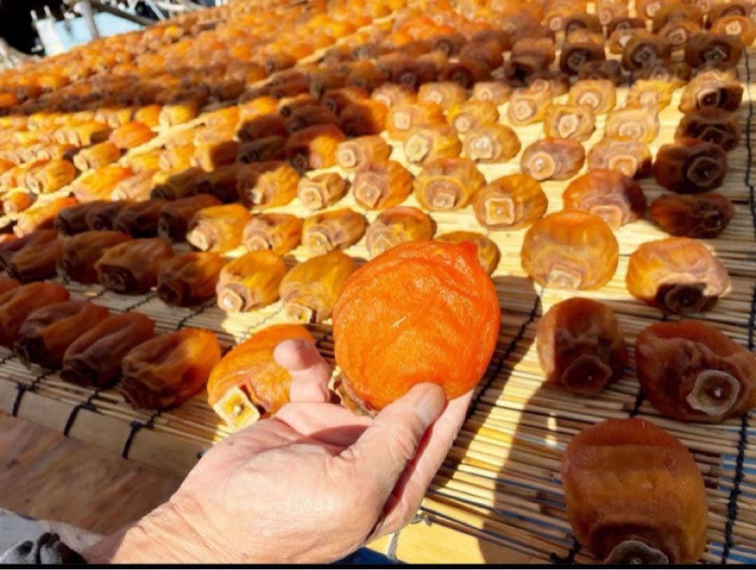 チュンメイ ★枯露柿 甲州百目柿贈答用　 3号箱　大9個入り✖️7箱