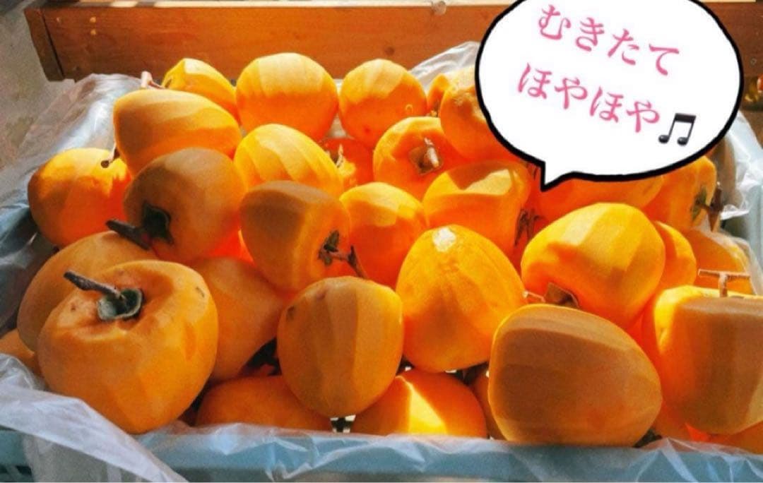 チュンメイ ★枯露柿 甲州百目柿贈答用　 3号箱　大9個入り✖️7箱