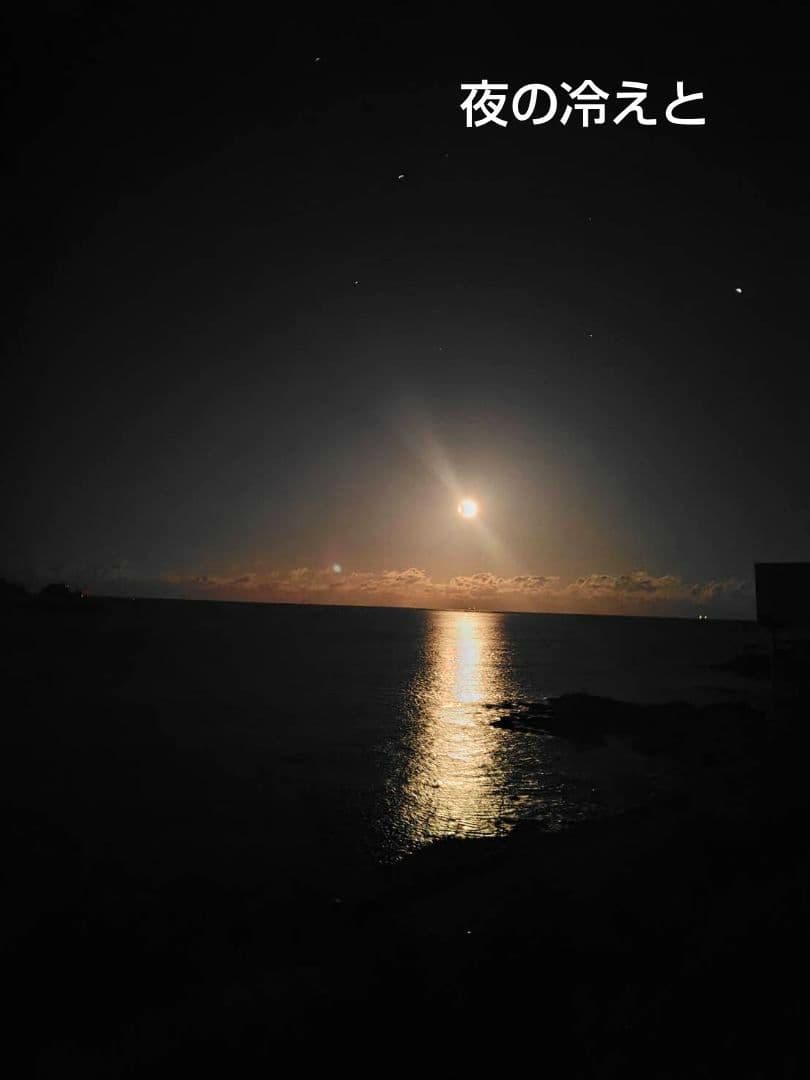 つきあかり10kg　岩手県産 令和６年産 減農薬 玄米 有機栽培 単一原料米