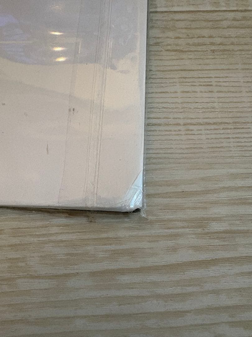 【希少】塔の上のラプンツェル 絵画 アートプリント