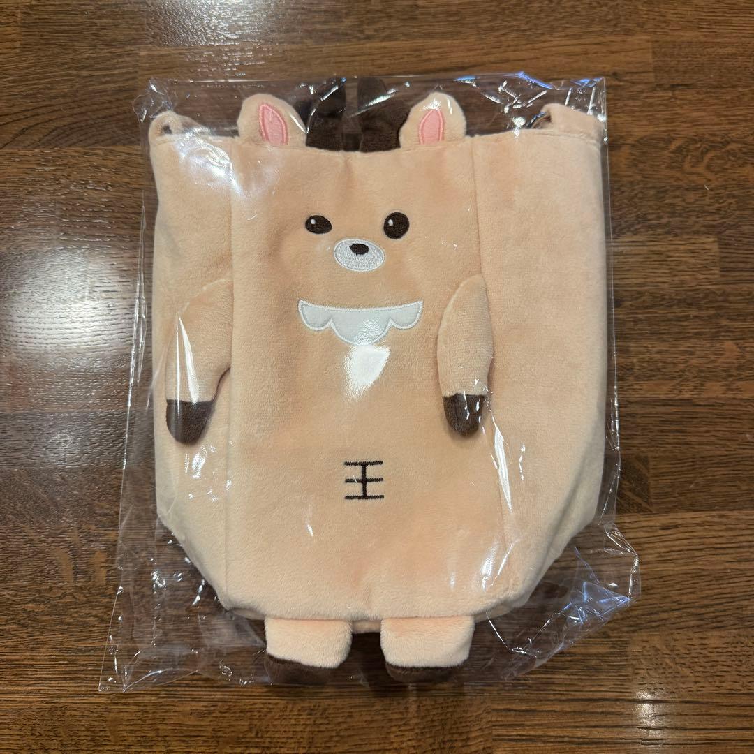 RIIZE ポップアップ東京　ペンライトバッグ　うちわホルダー　ソンチャン