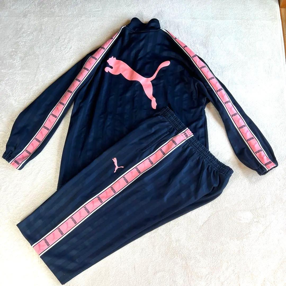 PUMA ジャージ 上下セット Lサイズ 日本製 ピンクロゴ サイドライン