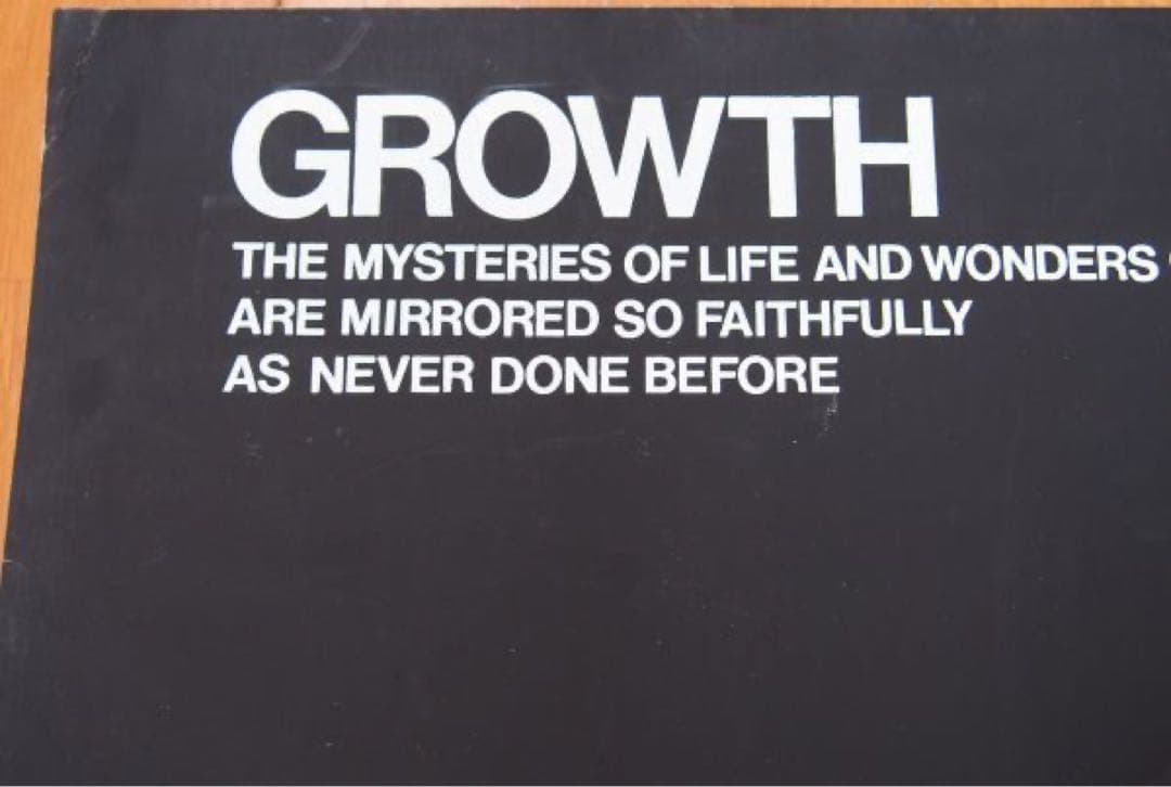 永井一正 シルクスクリーン 生長の話 GROWTH 1966年 額装済