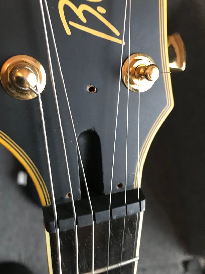 B.C.Rich mockingbird pro X hardtail カスタム