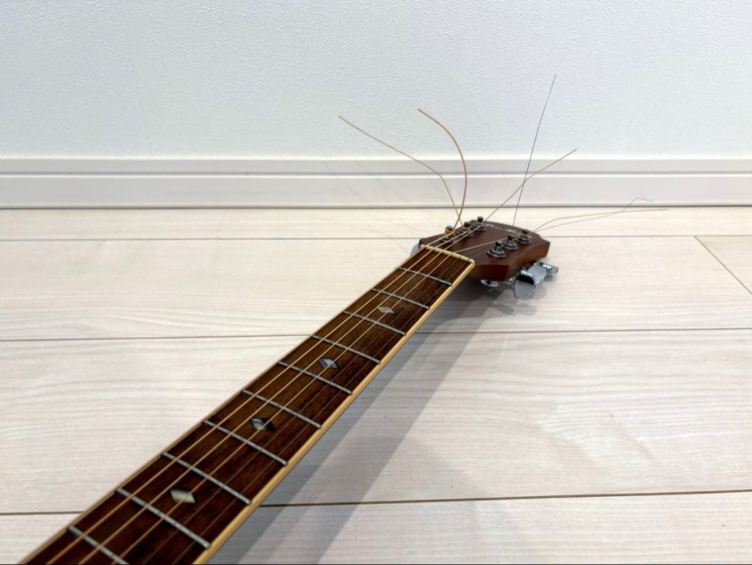 プロマーチン　Pro Martin オベーション　エレアコアコースティックギター