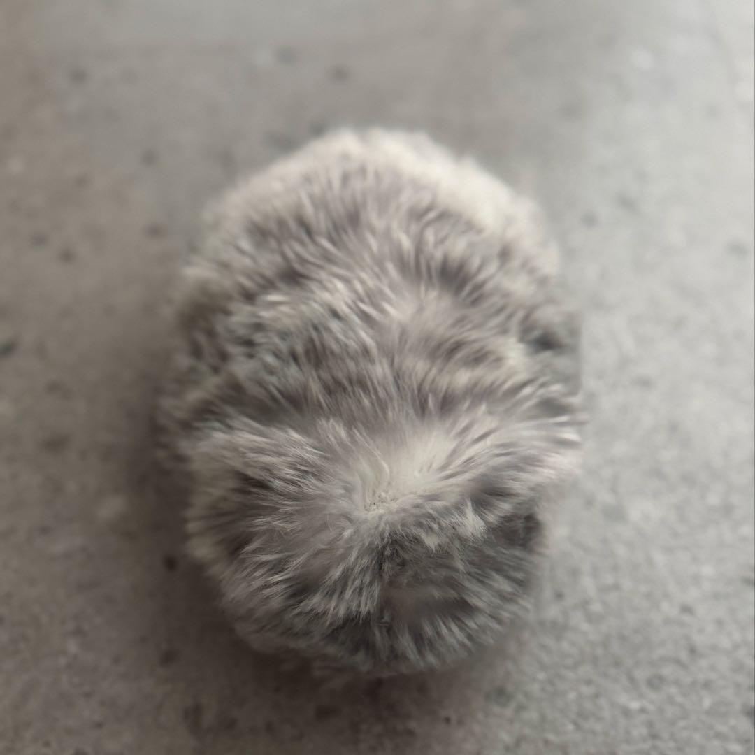 CASIO AIペット moflin(モフリン) シルバー 中古