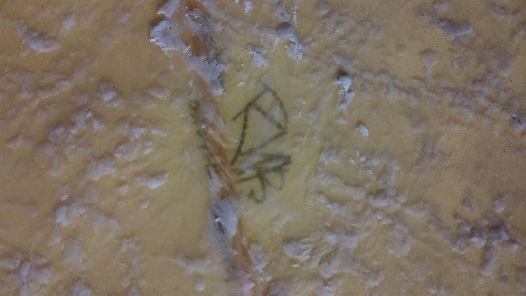 Ryan Burch 5'9 ライアン・バーチ アシンメトリー