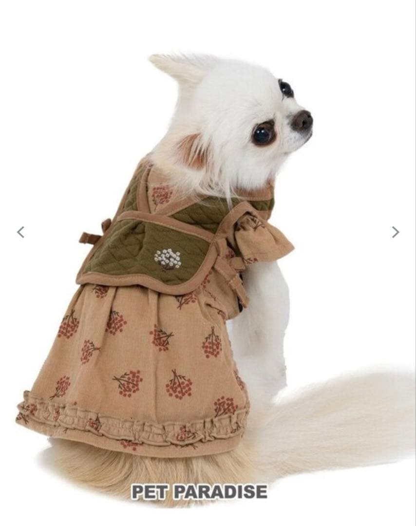 ペットパラダイス　福袋2026 女の子3S 服 4着 総額18920円