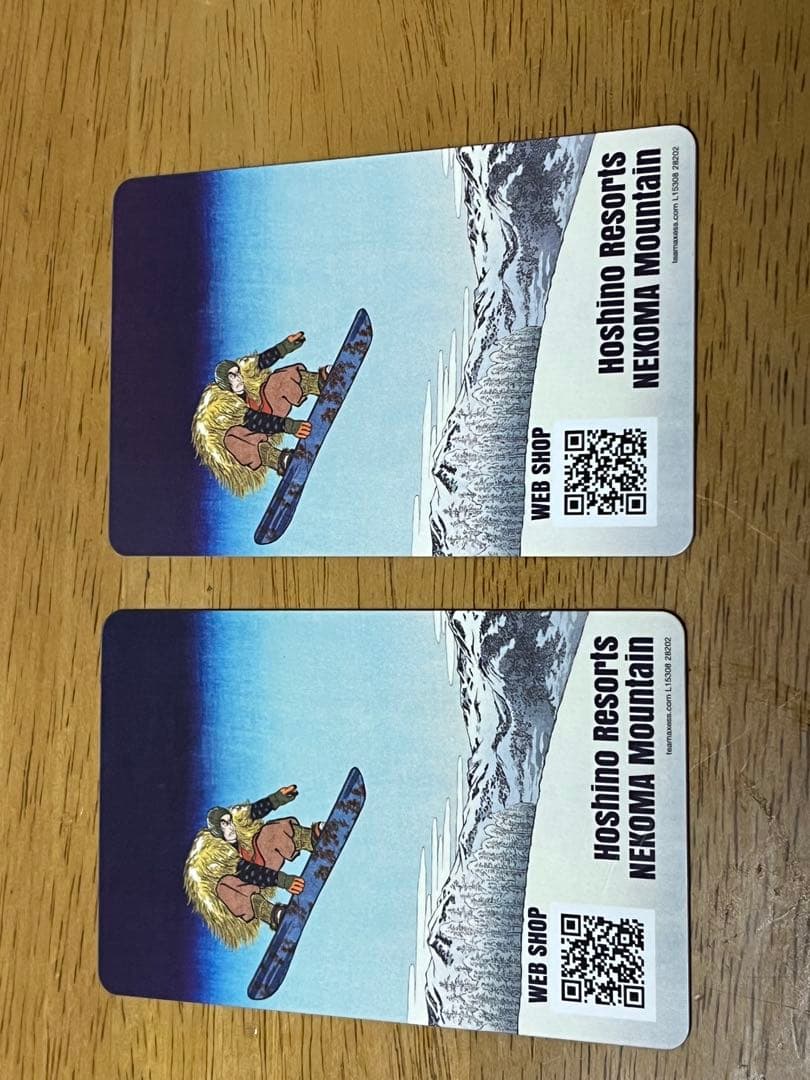 ネコママウンテン24-25 大人２日券✖️２枚