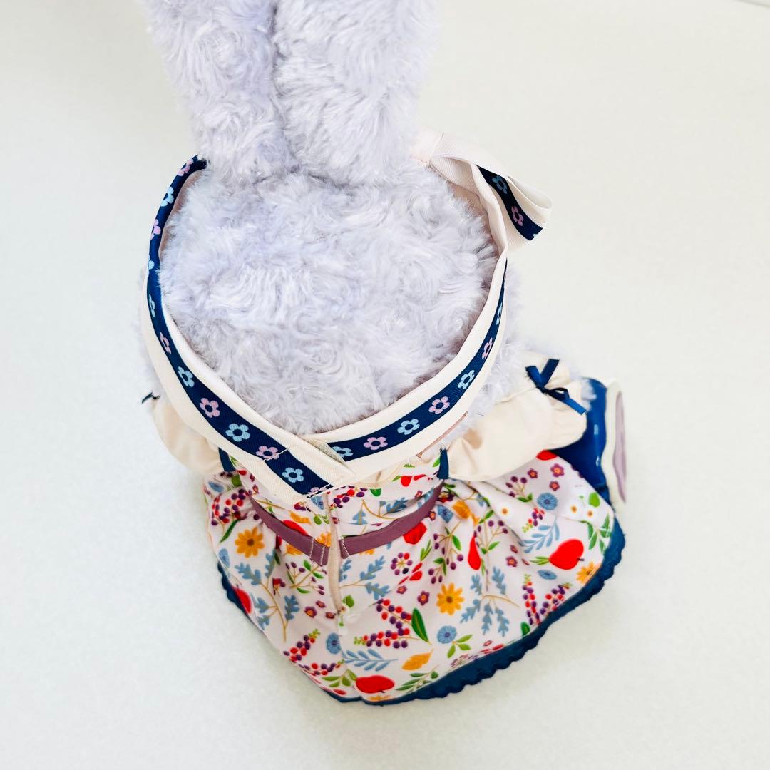 レア✨秋の冒険2019 ステラルー Sサイズ ぬいぐるみ＋コスチューム 完売品