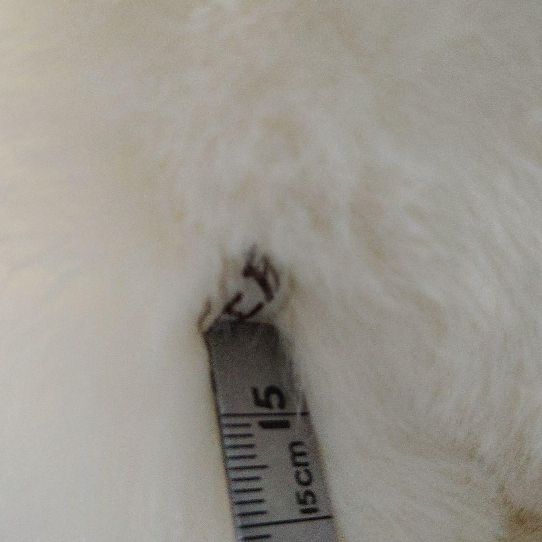 やまね工房 あざらし ぬいぐるみ