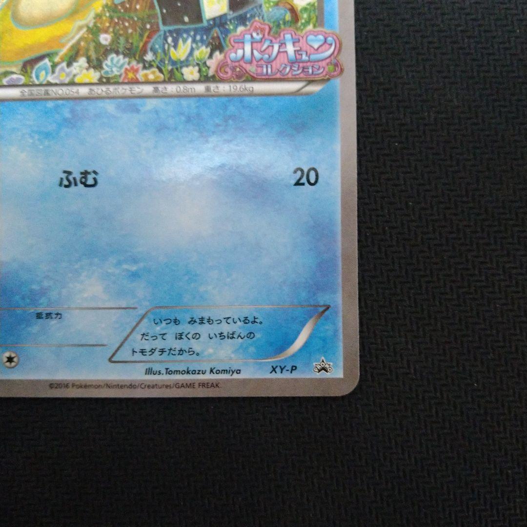 XY-P コダック_ポケキュンコレクション キャンペーン　増田順一 コラ