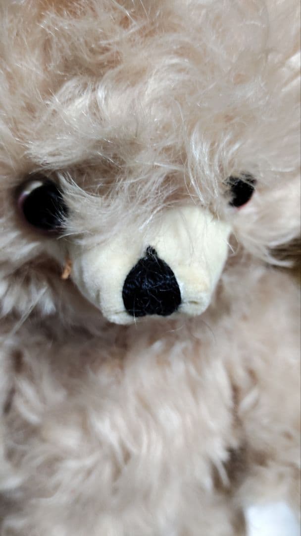 メリーソート社 蓼科・那須テディベアミュージアム限定　チーキーテディベア