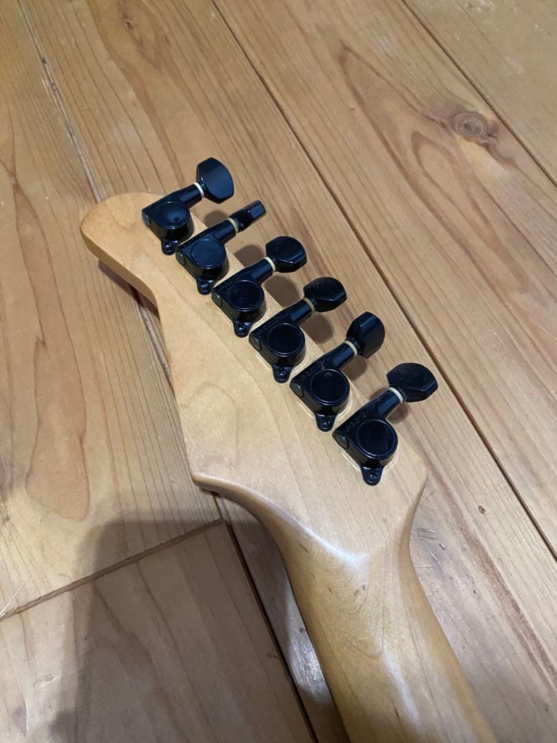 Fernandes エレキギター ソフトケース付き