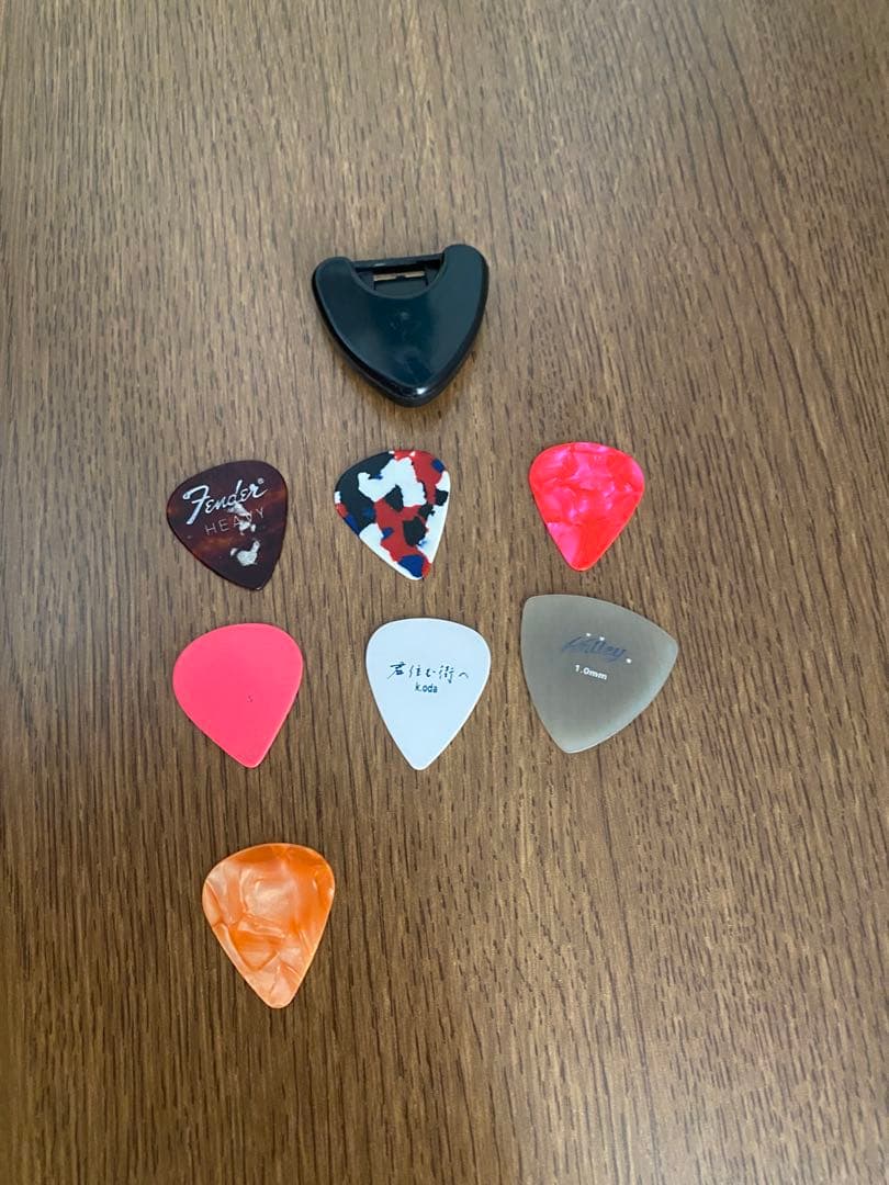 Fernandes エレキギター ソフトケース付き