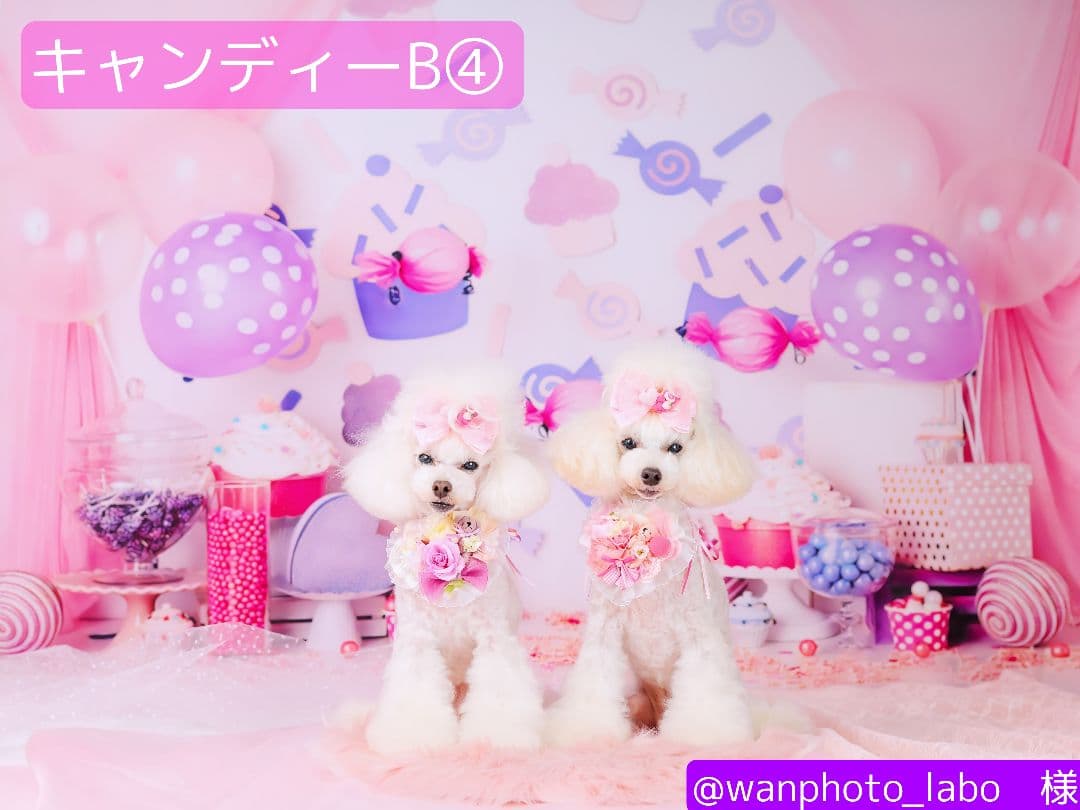 背景布　【　春D　】　サンプル　ニューボーンフォトなどに♪