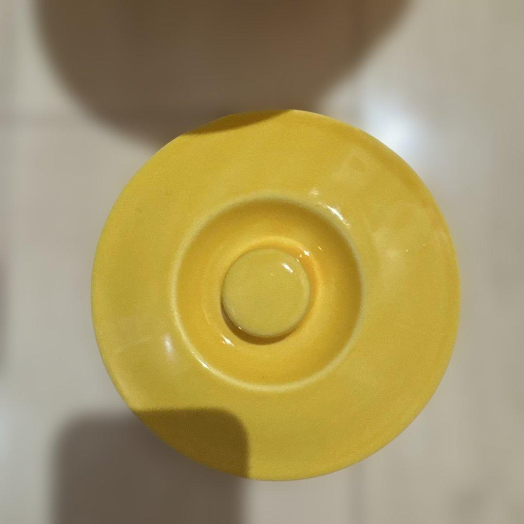 【新品未使用】ポルノグラフィティ　ぬか漬け　壺（レア）※期間限定