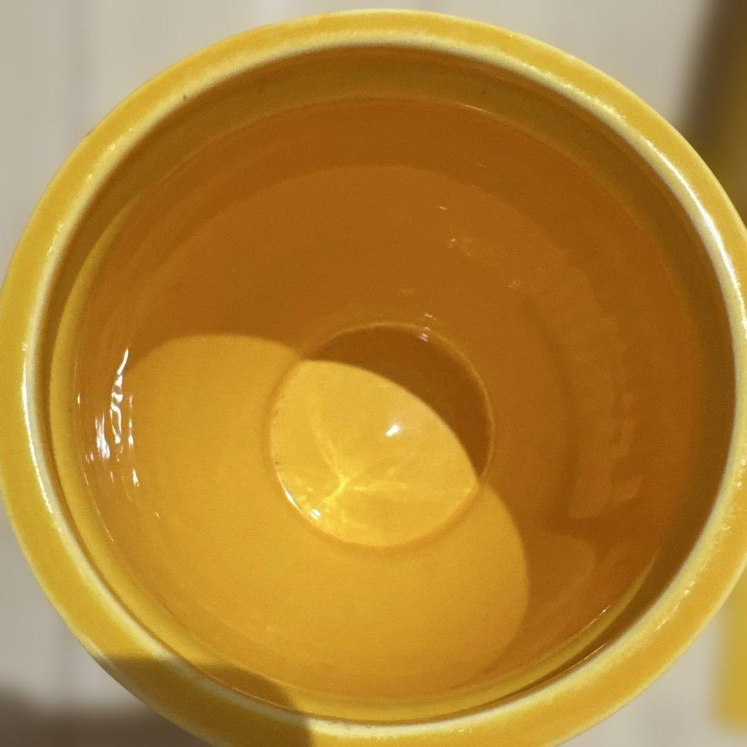 【新品未使用】ポルノグラフィティ　ぬか漬け　壺（レア）※期間限定