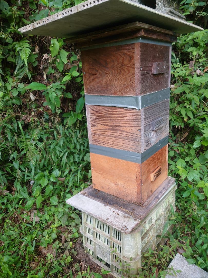 フレッシュ日本蜜蜂 はちみつ900g(Y2Y0箱)(Y3Y0箱)(K2Y0箱)