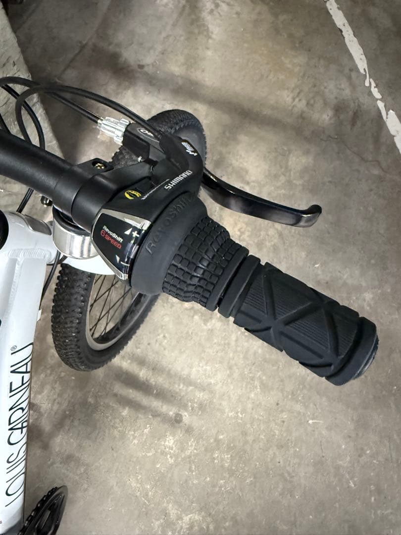 【現地引取可能】ルイガノ LGS-J20 20インチ シマノ6速 子供用MTB