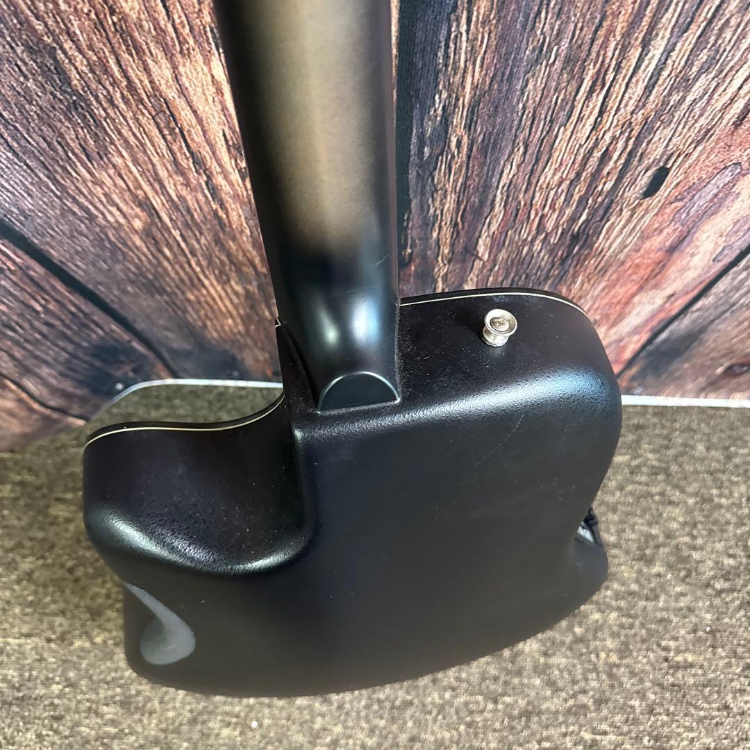 morris モーリス エレキアコースティックギター TR601