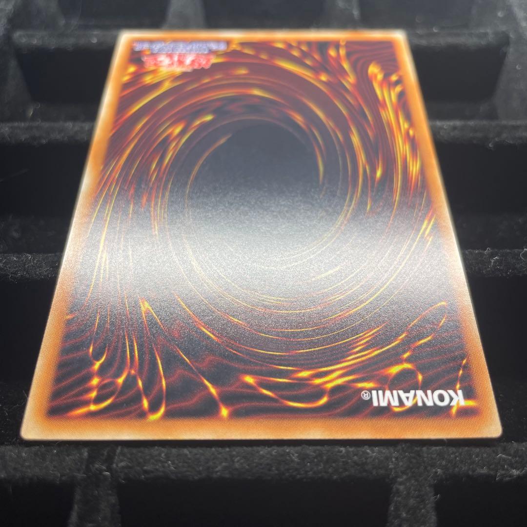 【美品】万物創世龍 10000シク IGAS-JP000