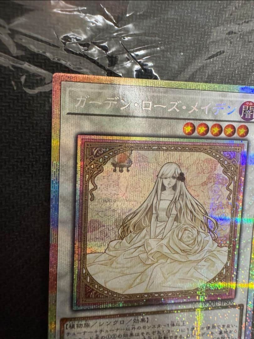 【希少！】遊戯王　ガーデンローズメイデン　プリズマ　絵違い　プリシク