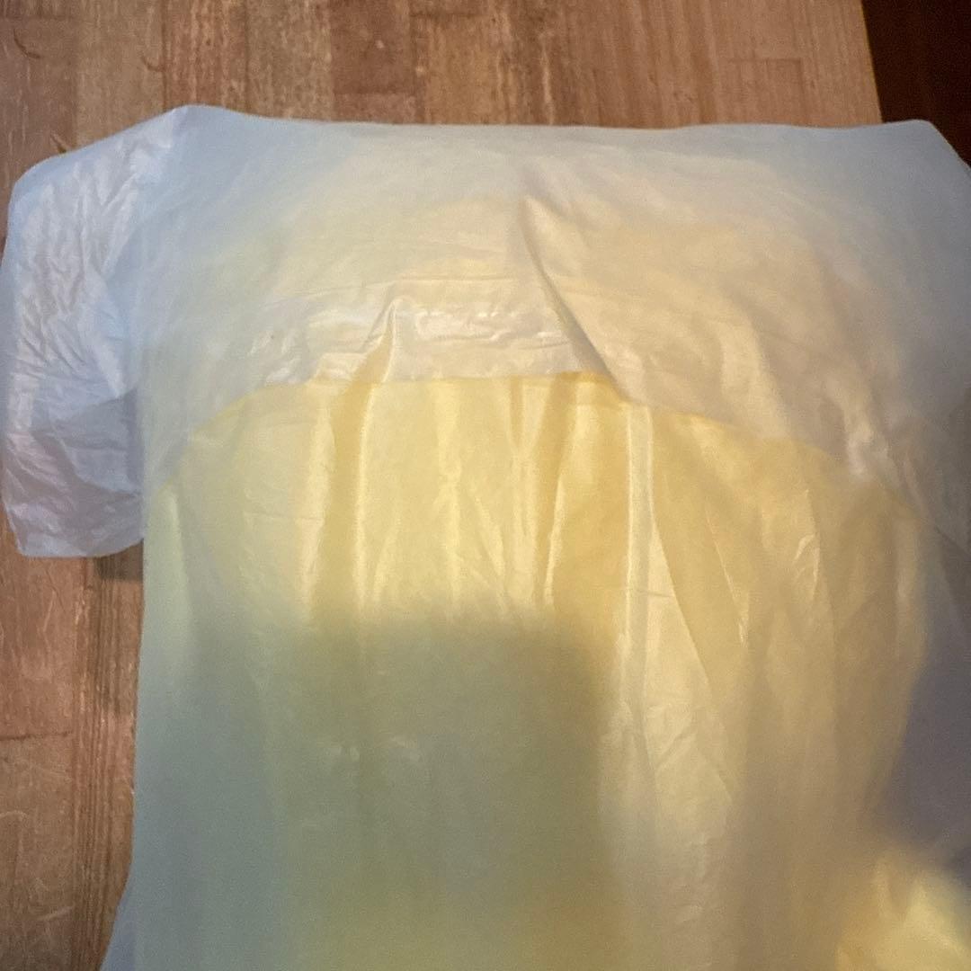 straykids スキズ　テディベア ぬいぐるみ SKZOO ポガリ　ピリ