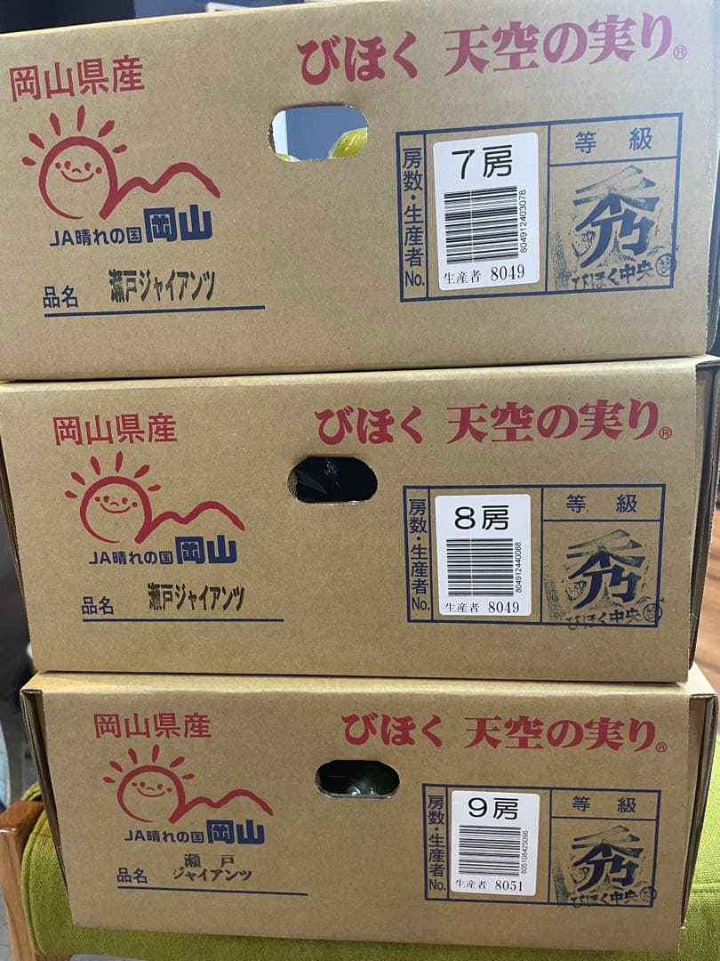 ⑦【岡山県産】瀬戸ジャイアンツ　7〜12房　約5キロ