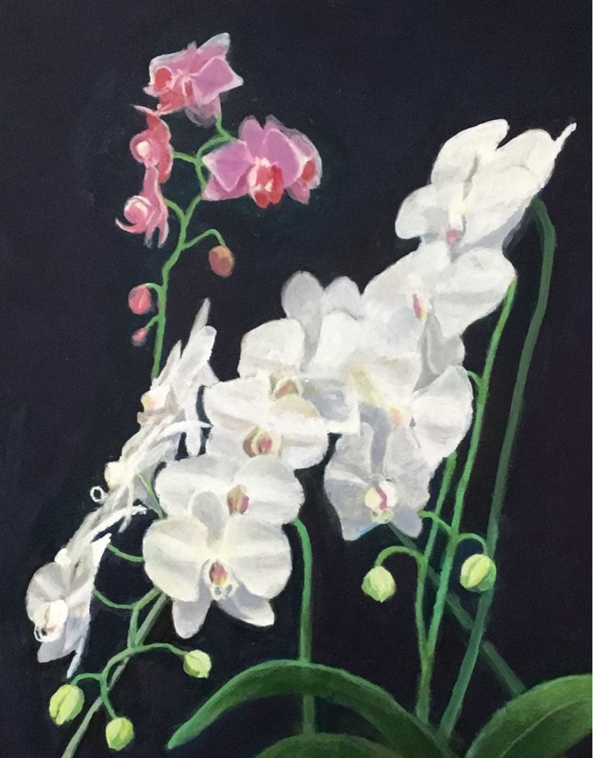 油彩画　「　胡蝶蘭　」F6号